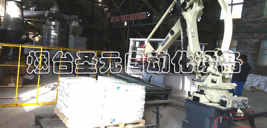 全自動碼垛生產線（xiàn）案例 (圖5)