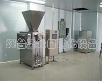 混合（hé）式閥口袋包裝機